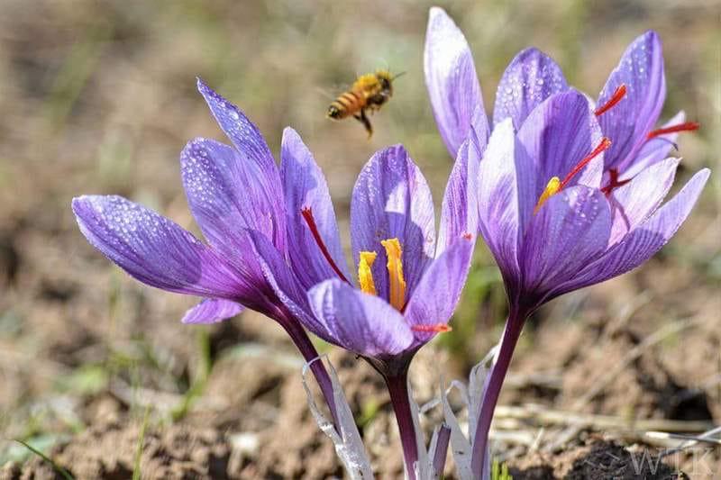 f0e24fa5-0d06-40e5-87f1-216102d7e381